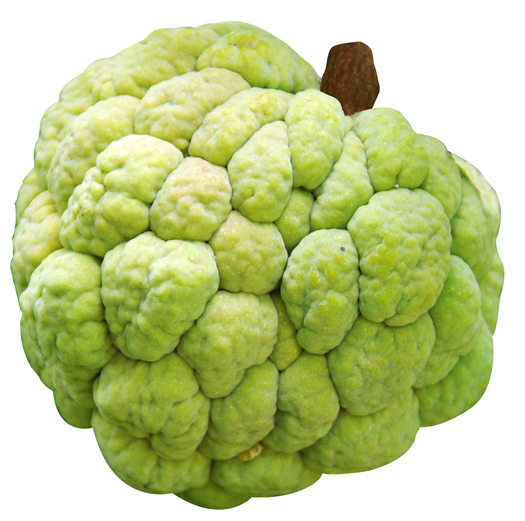 Custard Apple (Sitafal)_img