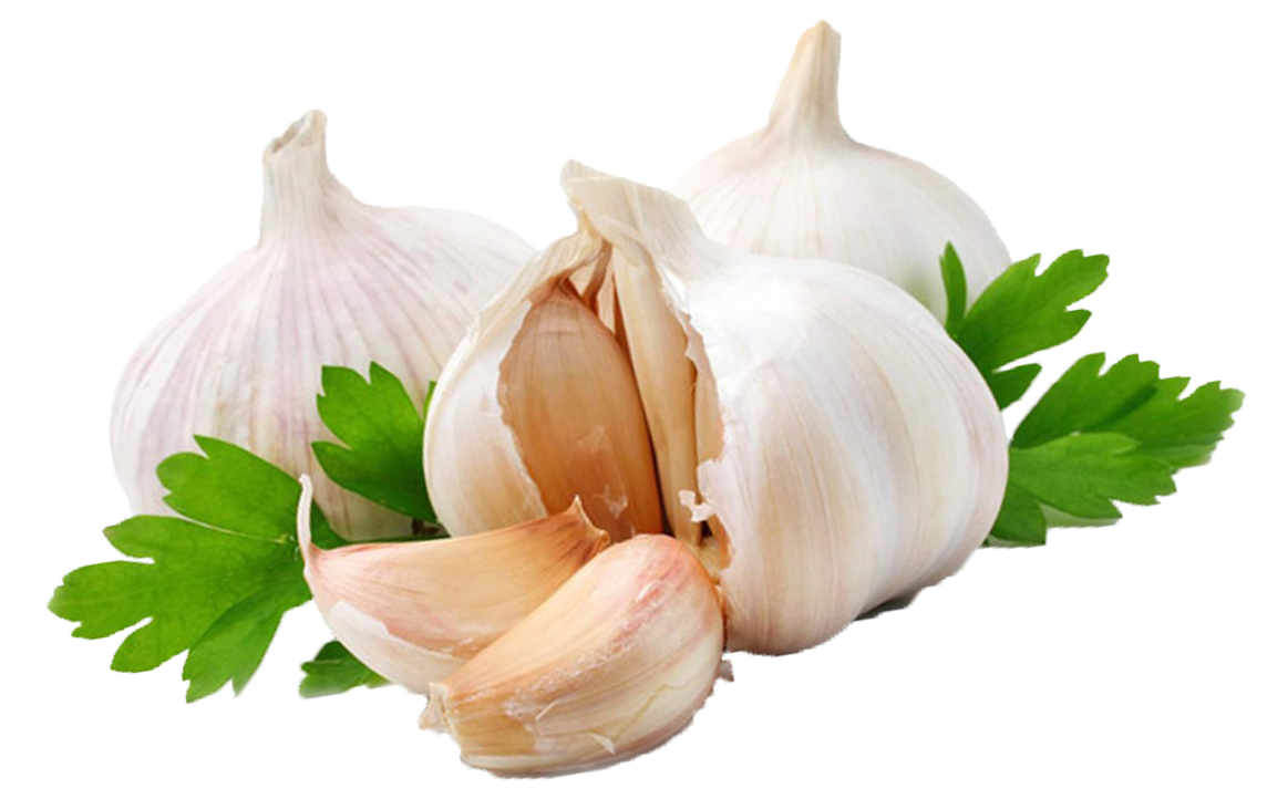 Garlic_img